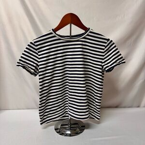Everlane Navy and White Striped Tee